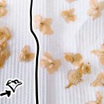 グリセリンにつけてドライフラワーを作ってみる検証（一部づけと全身づけ