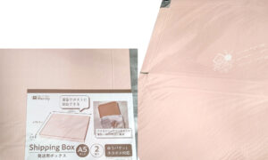 セリアで購入した発送用ボックスShippingBox